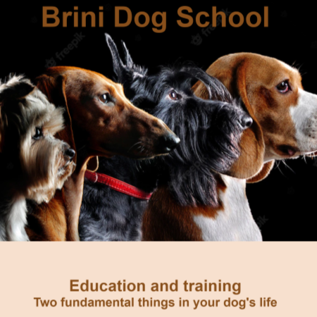 image of the Dog School project